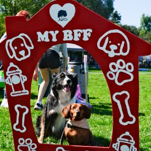 Two dogs taking a photo with the Bark in the Park Backdrop