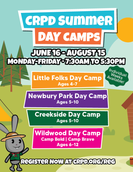 summer camps flyer